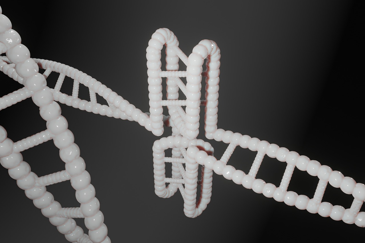 Mendel: The Father of Genetics